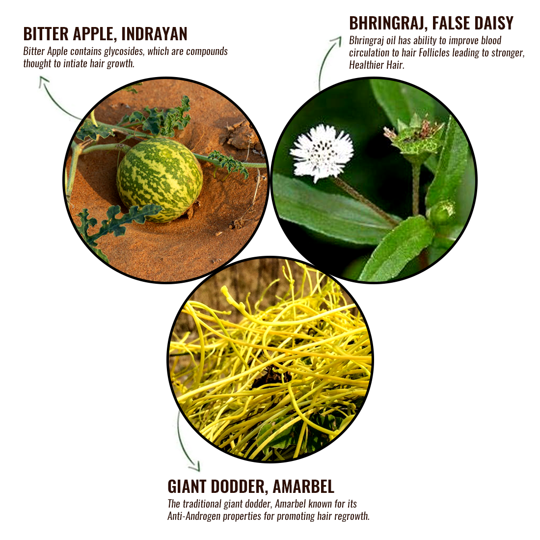 Ayurvedic & Herbal Hair Oil